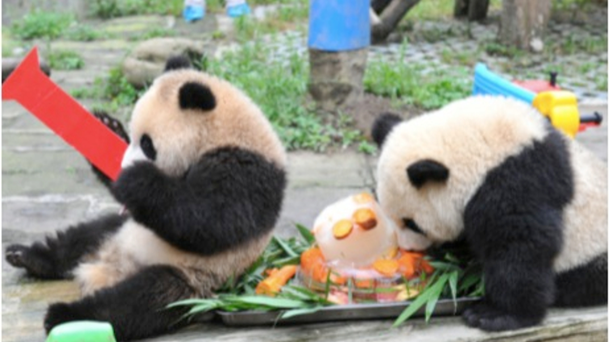 There is a rush to issue Panda bonds
