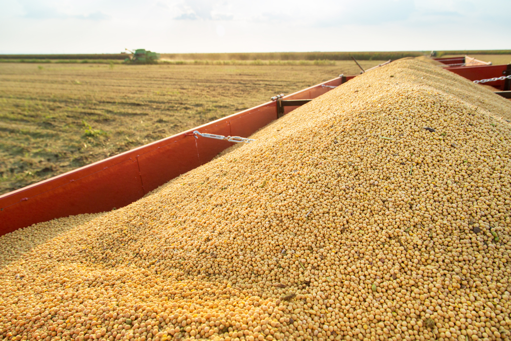 Review article on soybean image