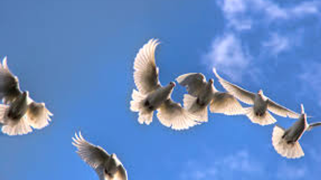 Credit flies as FOMC slows rate hikes