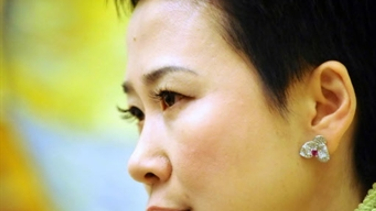 Li Xiaolin, chairman of CPI