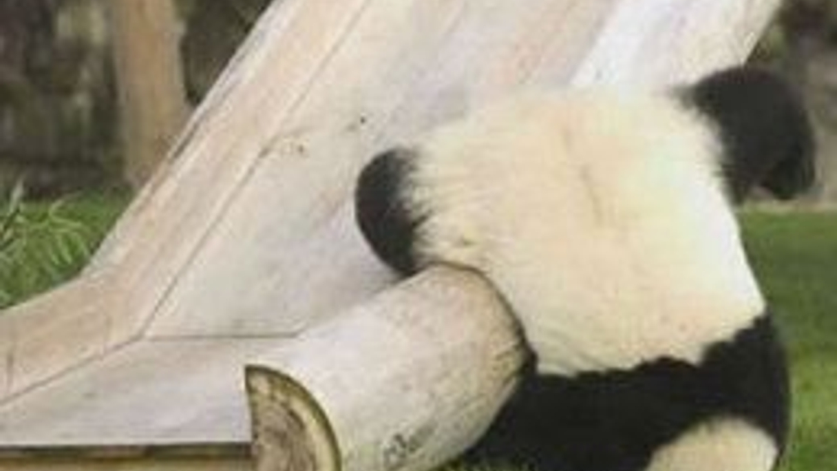 Credit slides as markets turn on their head