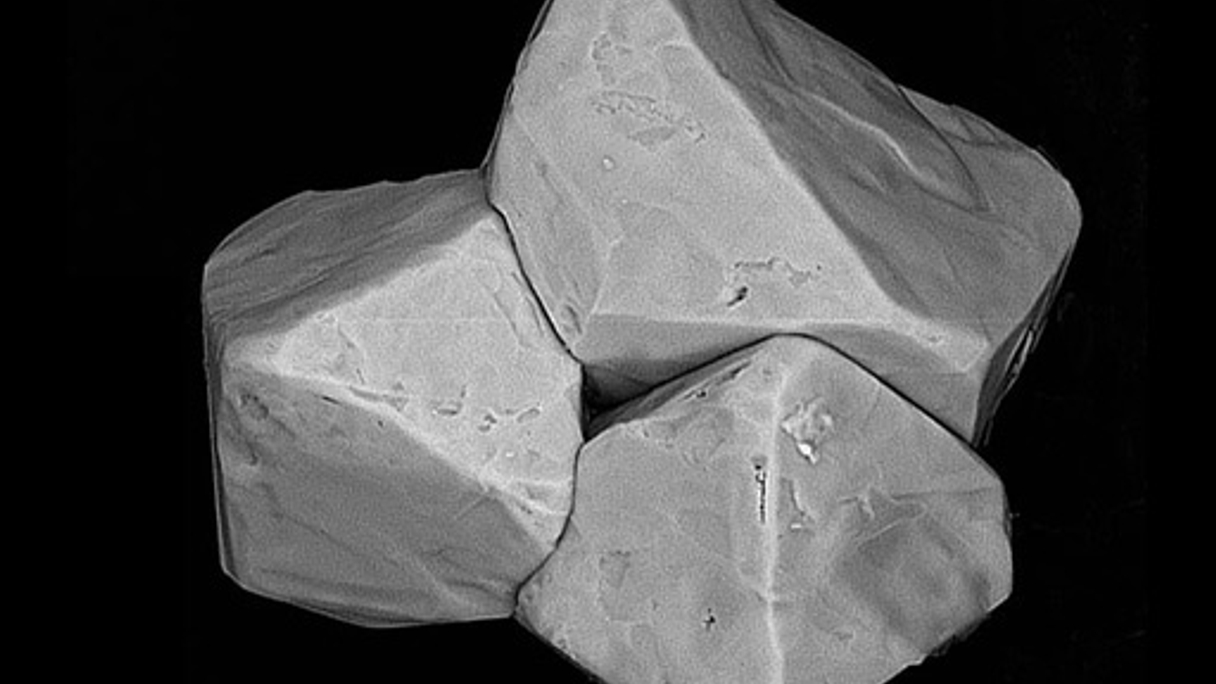 <div style="text-align: left;">
Crystals of ferroniobium seen in a scanning electron microscope
</div>