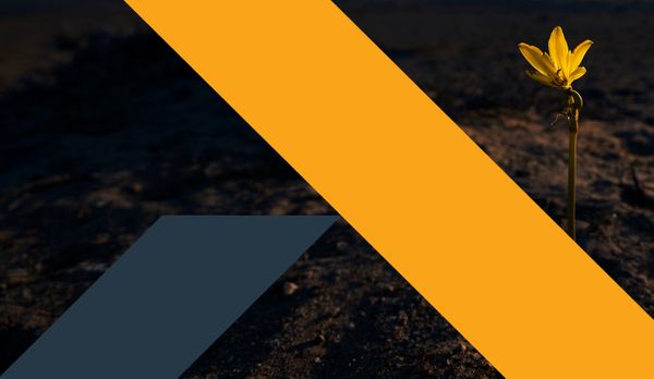 From stability to agility: nine implications for a new investment landscape