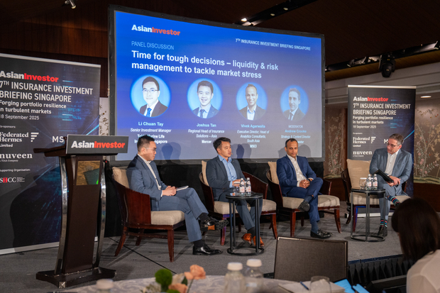 Institutional investors eye more than 'return generators'