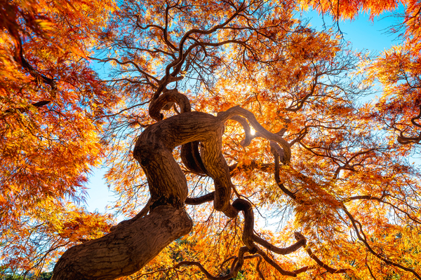 Investing for resiliency with alternative credit