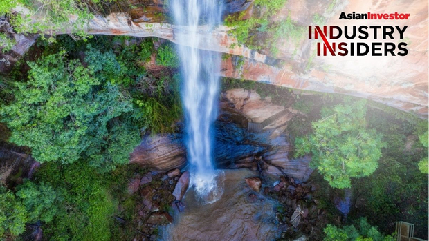 Industry Insider: Why Singapore is betting big on forests half a world away