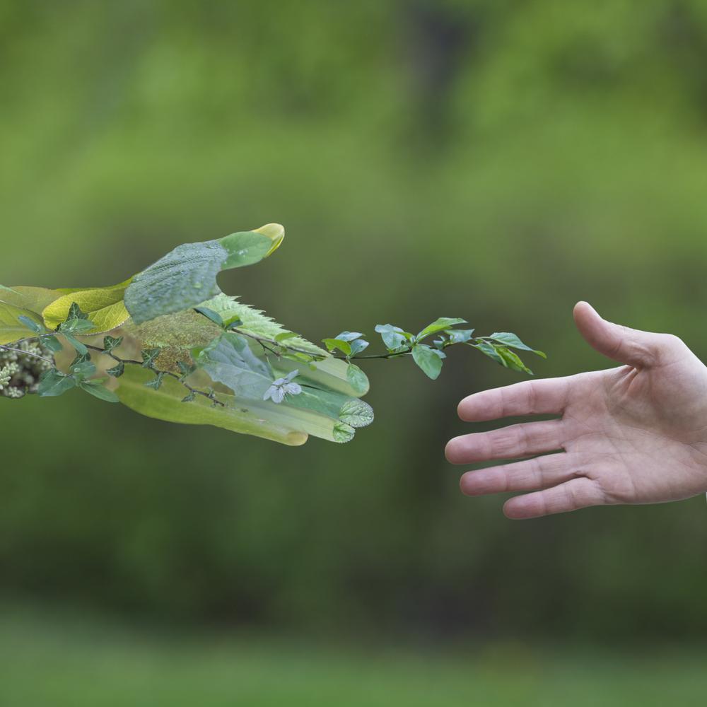 Outlook 2021: ESG investing to further spread its tendrils | Asset Owners - Vimarsana News