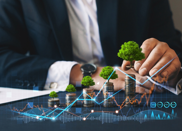 Private credit fills financing gap in Asia’s energy transition
