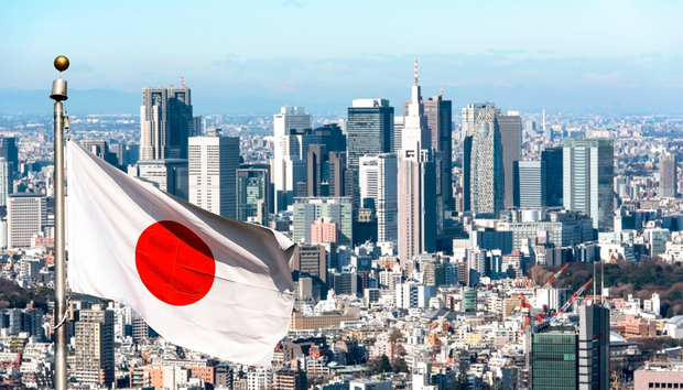 Japanese life insurers pivot to private markets