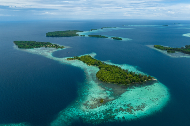 Asset owners underinvested in marine conservation projects