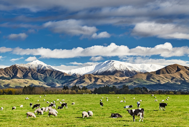 NZ Super adopts sustainable growth focus for equities