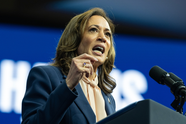 Market Views: Top 3 assets likely to gain if Harris wins