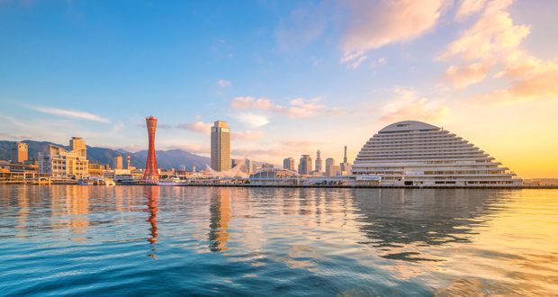 Nippon Life on Japan's ESG paradox as disclosures fail to deliver returns