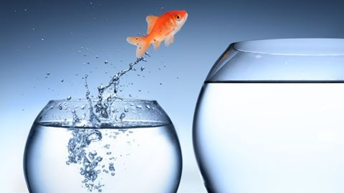 Return-starved pension funds seek out global equities