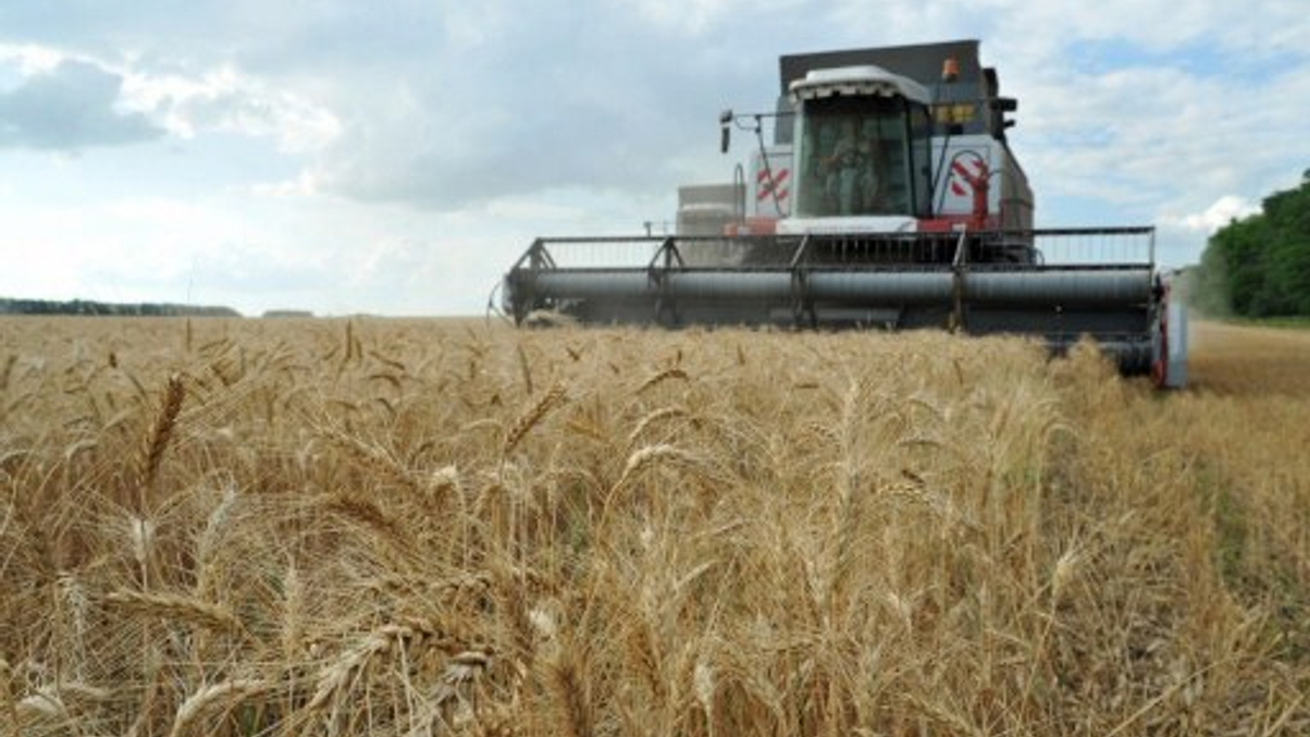 GMO doubles down on resources call