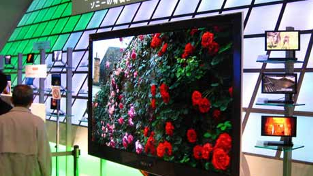 Japan hedgies await more market rumbles