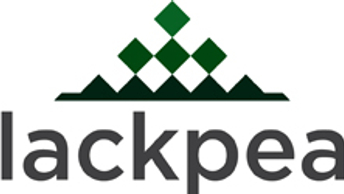 Ex-Artradis exec sets up advisory business with Kroll duo