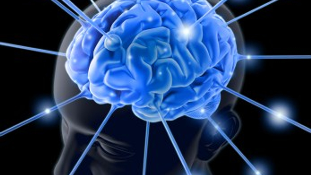 Goldman laments brain-drain in smart solutions