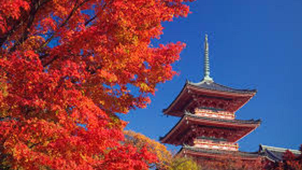 Advisers advocate upside potential for Japan stocks