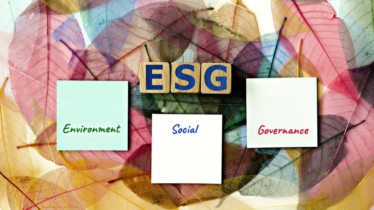 Sun Life regional CIO spells out challenges in ESG measurement