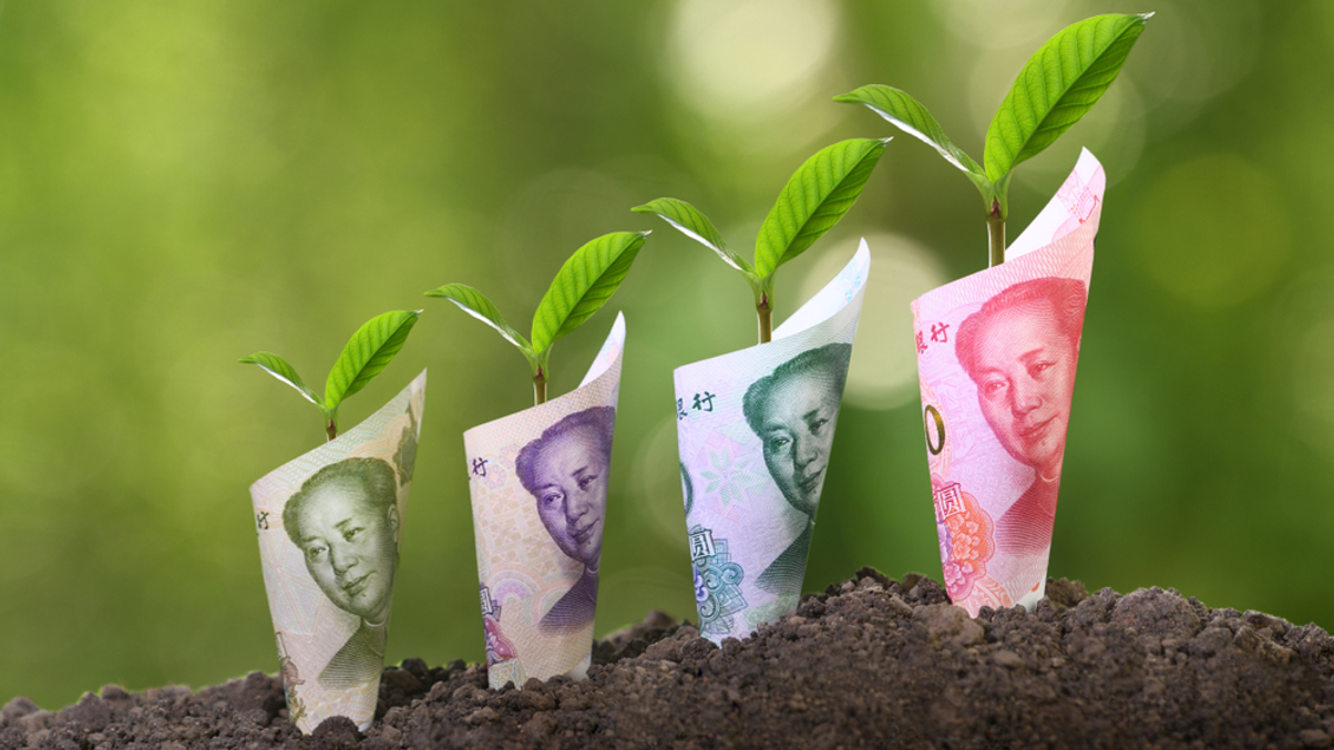 Chinese asset owners adopting a more systematic roadmap towards net zero
