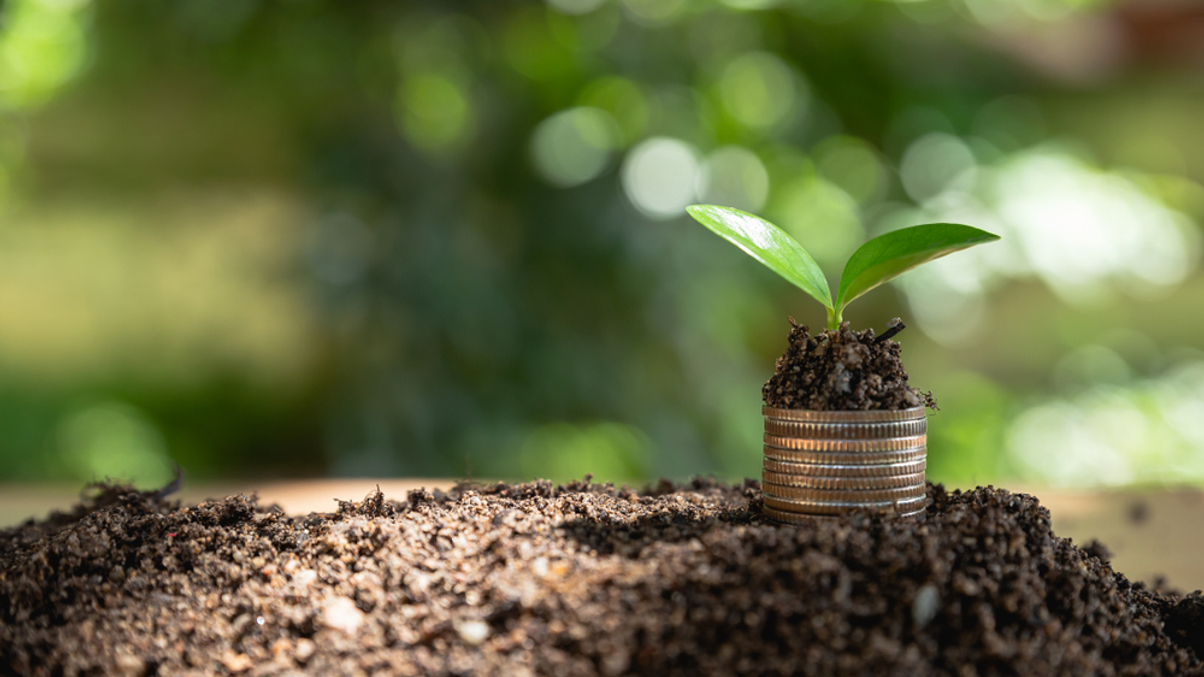 Prudential: Asia green investment options limited despite ESG momentum