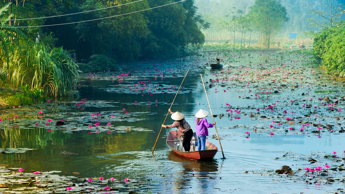 The Investor's Bookshelf: A veteran CIO reveals how to win in Vietnam