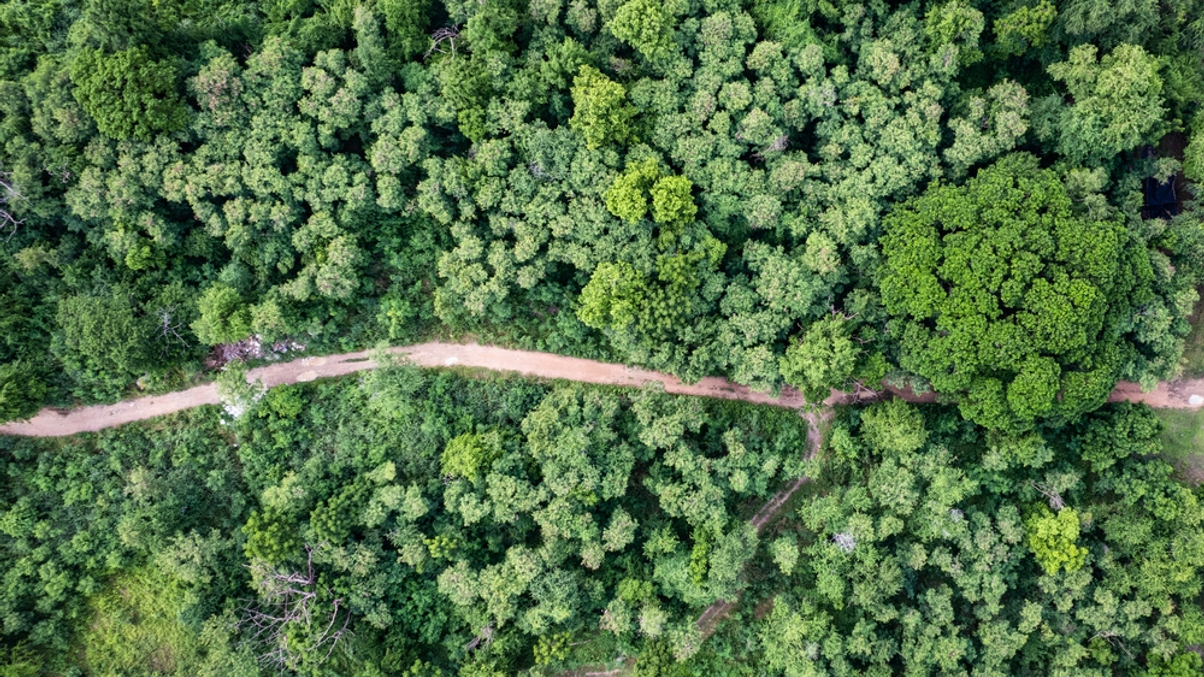 SE Asia decarbonisation to create up to $150bn in investment plays