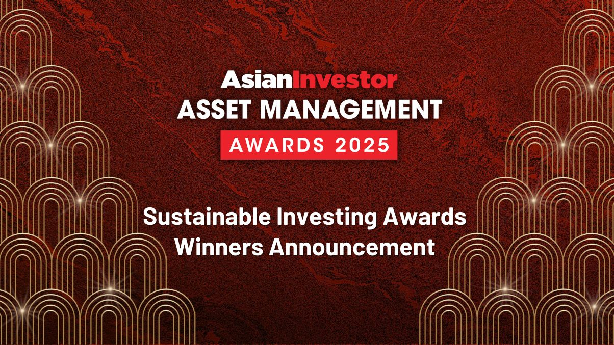 Asset Management Awards 2025: Sustainable Investing winners