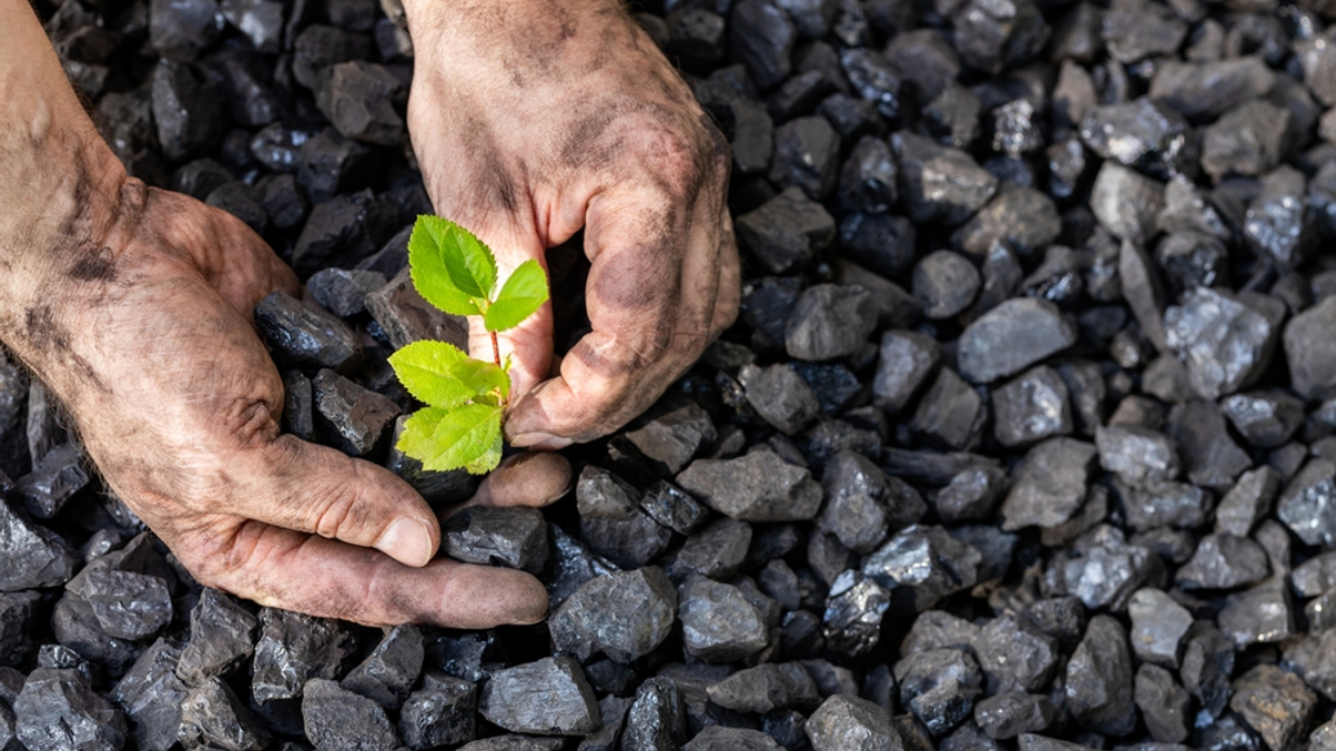Rockefeller Foundation unveils blueprint for accelerated coal phase out