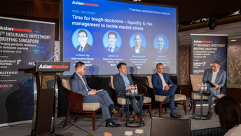 Institutional investors eye more than 'return generators'