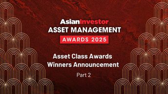 Asset Management Awards 2025: Asset Class winners part 2