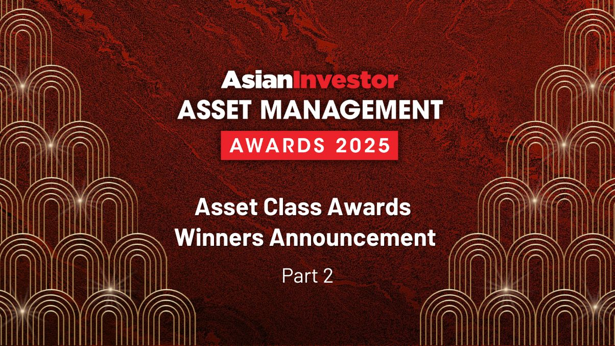 Asset Management Awards 2025: Asset Class winners part 2