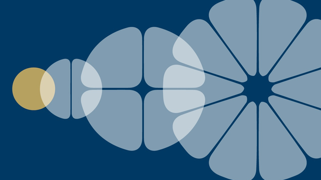 Investors plot new paths for portfolios in a post-pandemic world