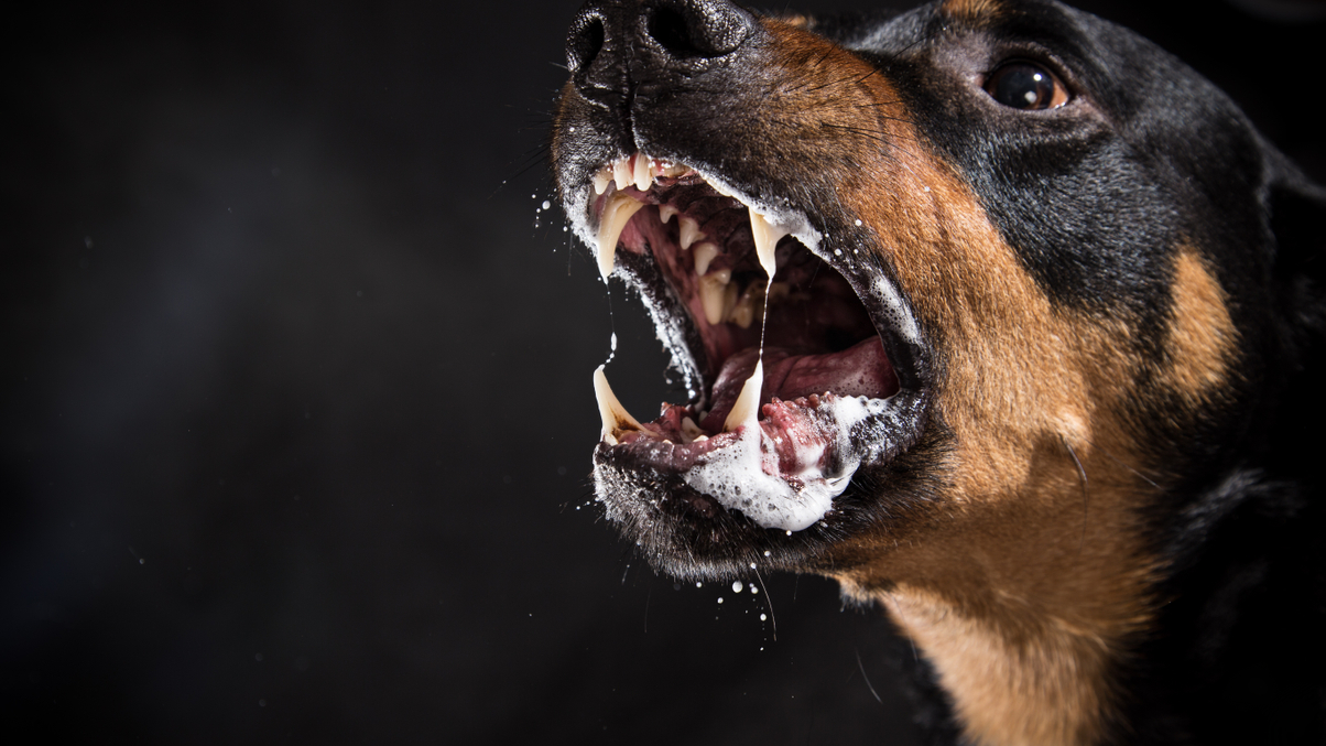 NPS’s stock target capitulation could come back to bite