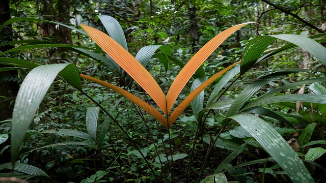 How Asia’s investors can play a pivotal role in addressing climate change