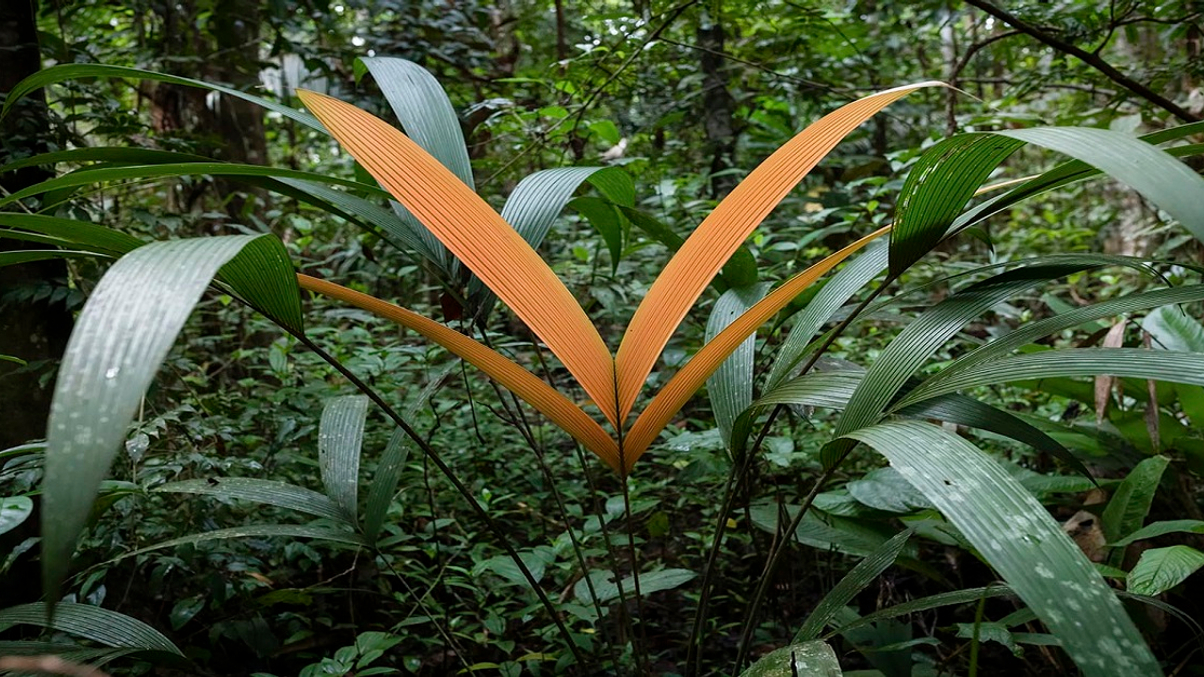 How Asia’s investors can play a pivotal role in addressing climate change