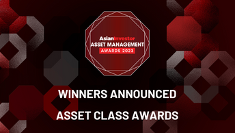 Asset Management Awards 2023: Asset Class winners