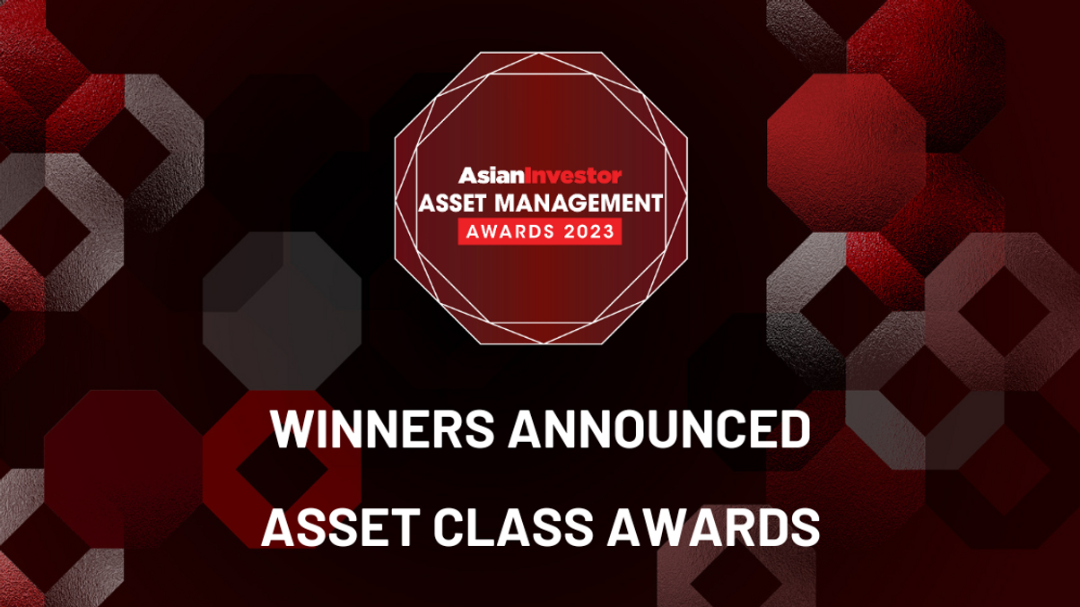 Asset Management Awards 2023: Asset Class winners