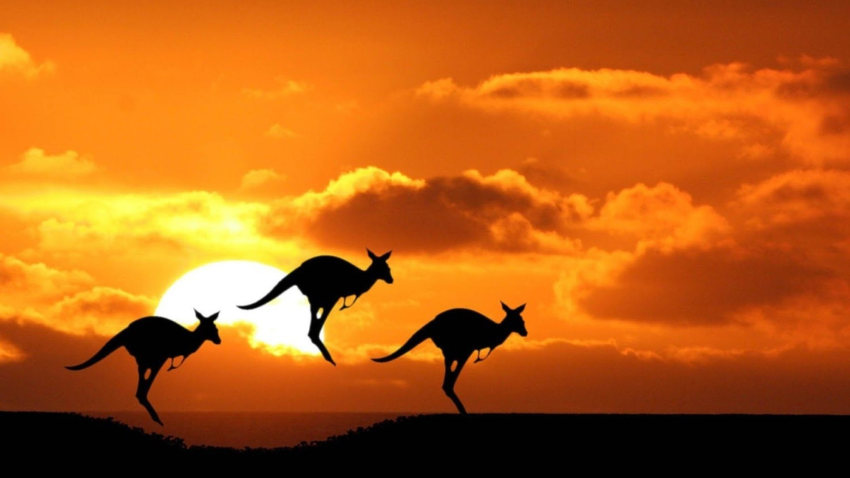 Super industry ‘too big for Australia’, says AustralianSuper CEO Paul Schroder
