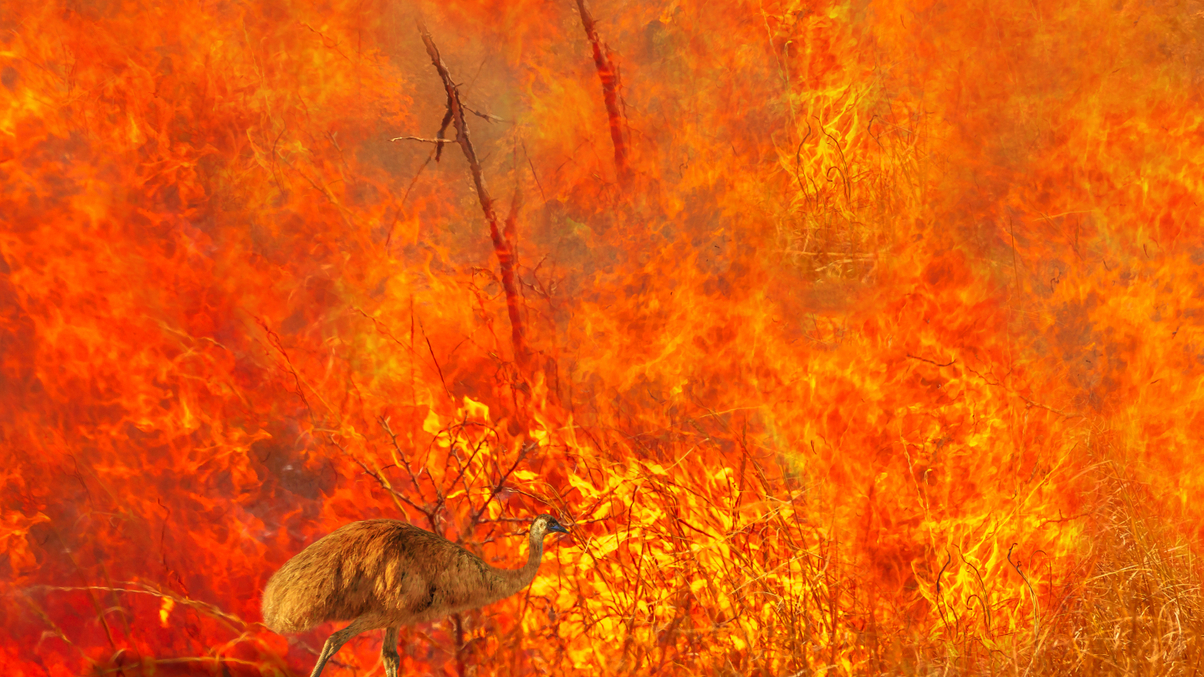 Why instos must better prepare for a climate crisis