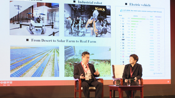 Ping An seeks foreign partners for sustainable plays in China