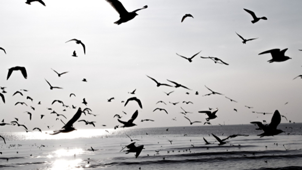 Taiwan insurers set to lift offshore investments after rule change