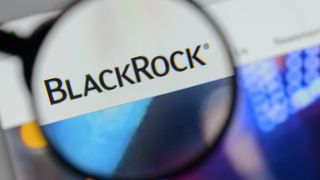 BlackRock: an ESG strategy that’s all about knowing what to exclude BlackRock: an ESG strategy that’s all about knowing what to exclude