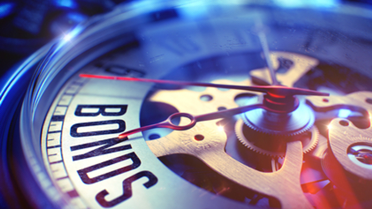 Year of the Dog reflections: Treasury curve tribulations