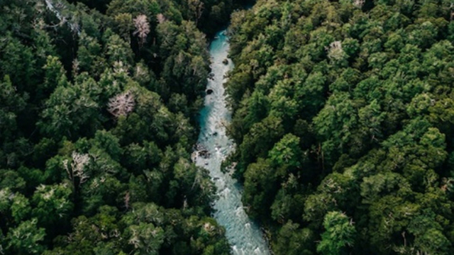 Environmental investing: public and private opportunities for family offices in a new era