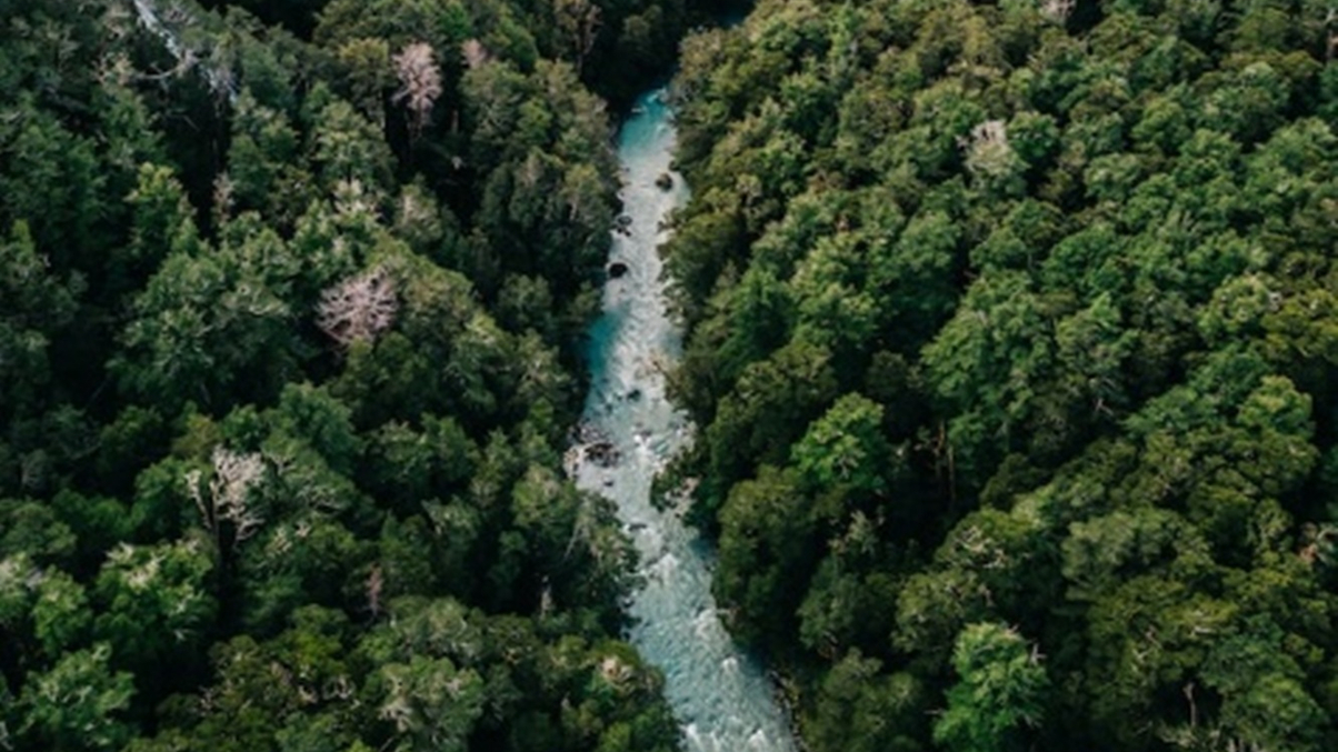 Environmental investing: public and private opportunities for family offices in a new era