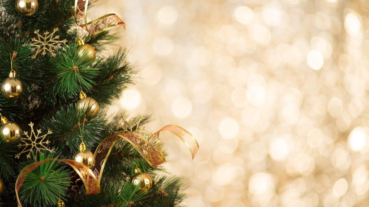 Merry Christmas and a happy new year