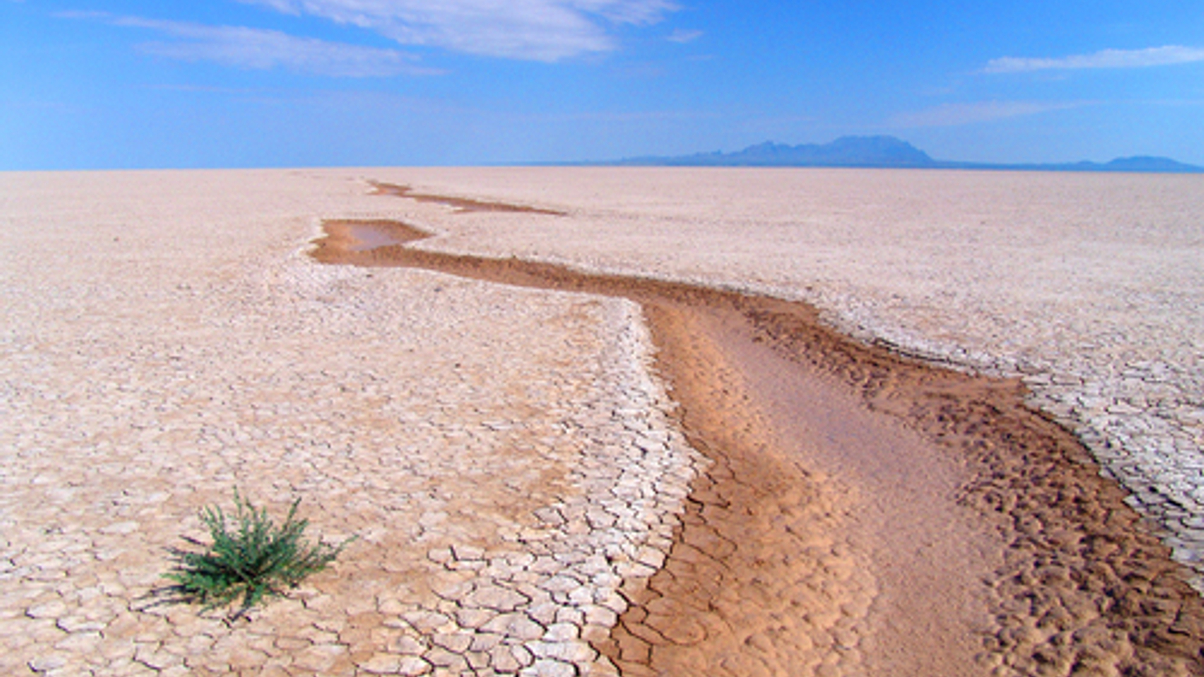 Insto roundup: China pension fund to run dry; GIC buying Asean tech