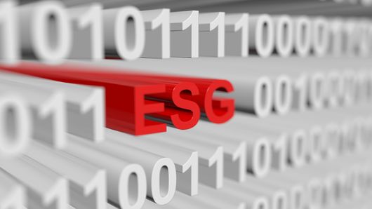 Embarrassment, social and governance: How ESG is becoming a reputational issue Embarrassment, social and governance: How ESG is becoming a reputational issue